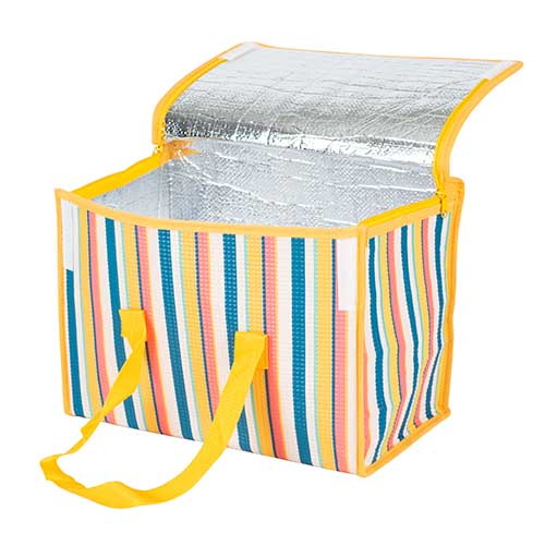 PP Laminated Insulated Bag with Stripy printe 11