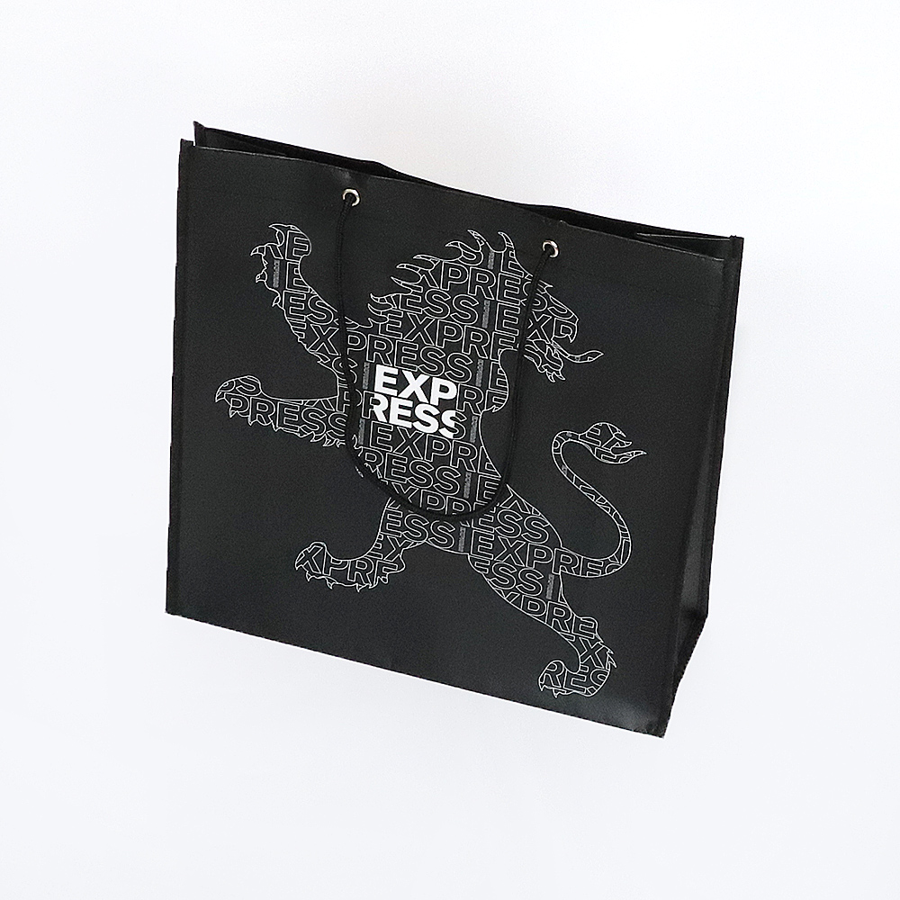 Black Liminated Bag 18
